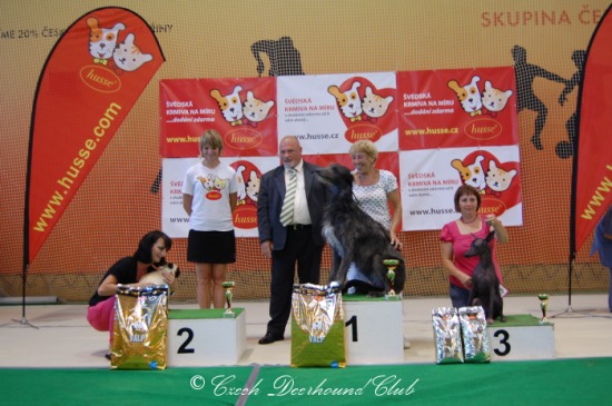 Shagiead Just Good Friends 