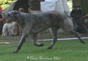 Augustin Earl Balvert´s