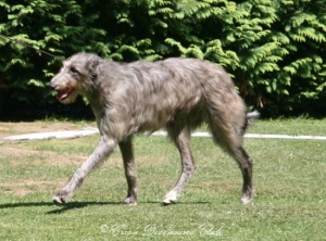 Carrie Randis Irater