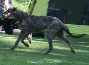 Cinderella z Podlipnice