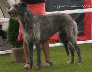 Cedrik Eimhir Irater