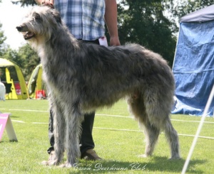 Brokenwheel MacAlasdair