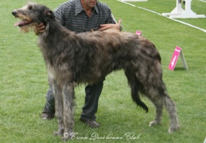 Goshenite of Bestmara	