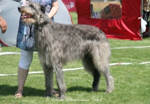 Joshua vom Blausteinsee	