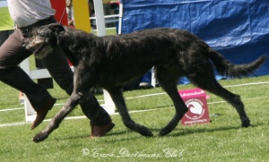 Landlord von der Oelmühle	
