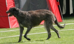 Cunamara´s Mille Miglia