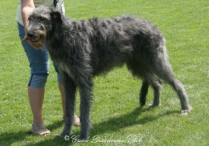 Nele vom Blausteinsee