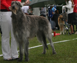 Augustin Earl Balvert´s