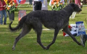 Carrie Randis Irater