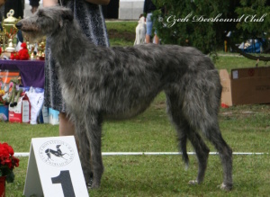 Carrie Randis Irater