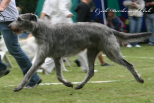 Collin Eimhir Irater