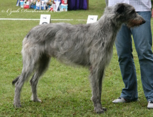 Collin Eimhir Irater