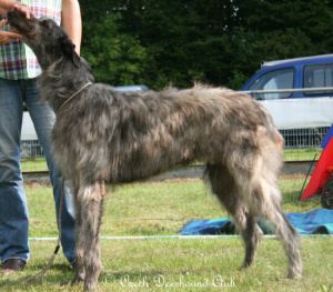 Fritzens Capability Brown