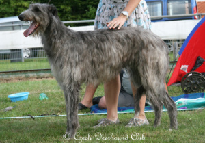 Carrie Randis Irater