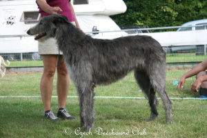 Cinead of Canadagh Caoinlan