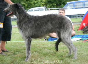 Grayrory´s Fabulous