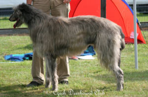 Hartvalley Walk This Way