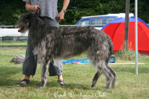 Juma vom Blausteinsee