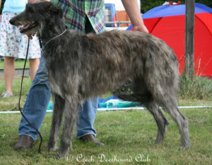 Mighty Hunter´s Sunshine Spot