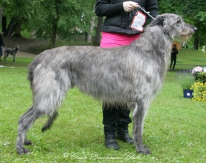 Augustin Earl Balvert´s