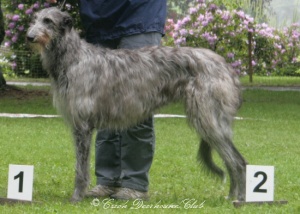 Carrie Randis Irater