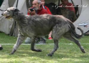 Augustin Earl Balvert´s