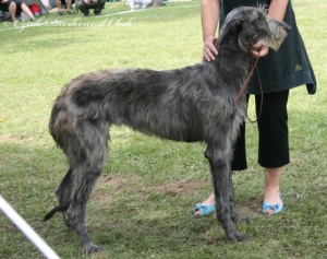 Cinderella z Podlipnice