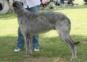 Collin Eimhir Irater