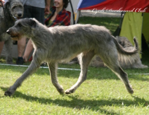 Collin Eimhir Irater