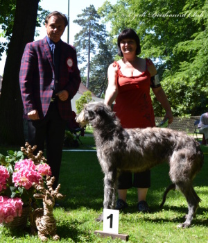 Cinderella z Podlipnice