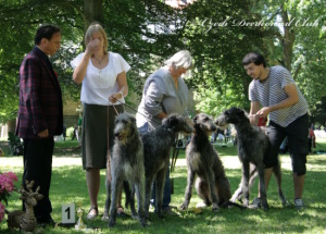 Carrie Randis Irater