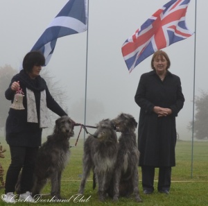 Adelaida, Cesmína, Cinderella