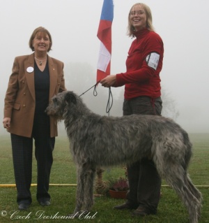 Assing Irater Irsias