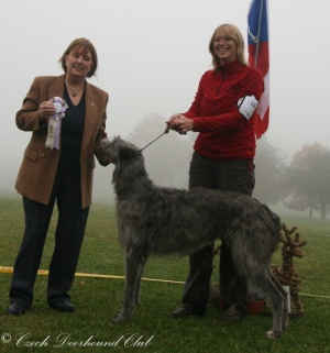 Carrie Randis Irater