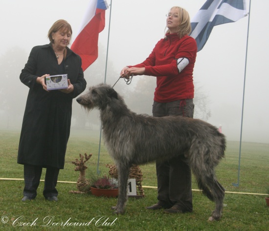 Cedrik Eimhir Irater