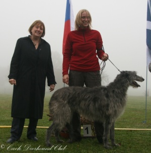 Queen Qumolly Qwinta of Dirty Mind