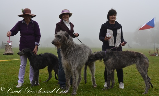 Olga Brandová, Hana Richterová, Monika Boušová