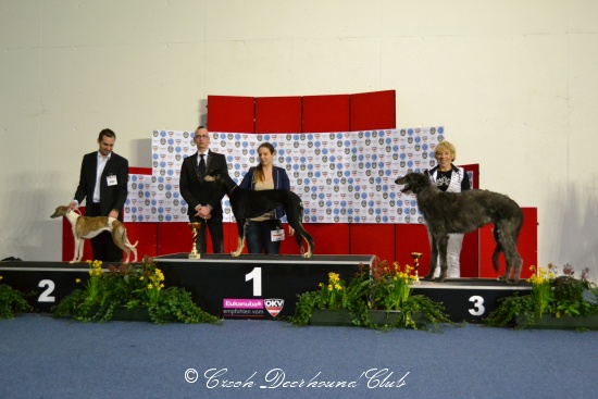 Shagiead Just Good Friends