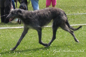 Connie Randis Irater