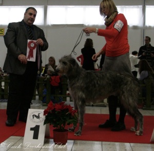 Carrie Randis Irater